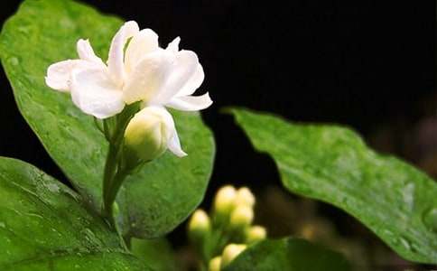 ���򻨳�һ����