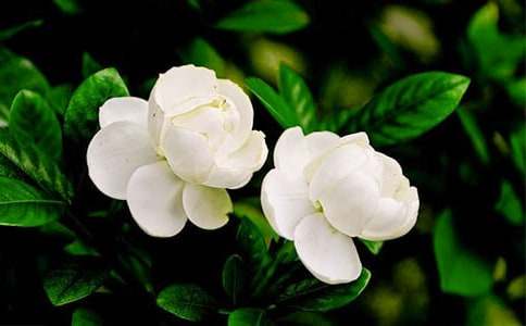 �����_����ͨ��15ƪ