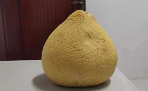 ���ӵ�����600����ƪ