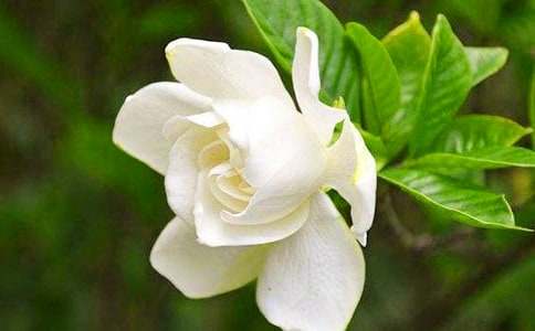 �d�ӻ��_�ļ���(ji��)��(y��u)������