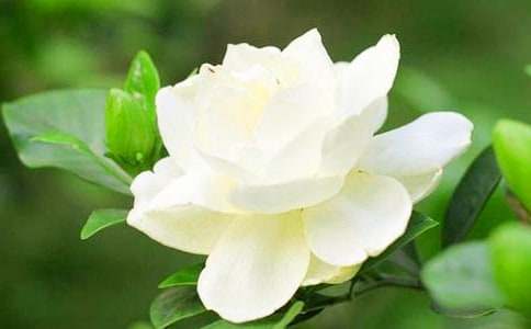 ����d�ӻ��_����600��