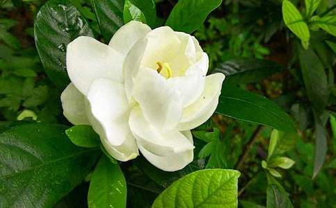 �d�ӻ��_�����x��������1100��