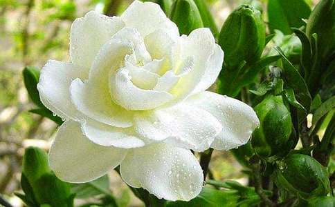 ��ӛ����̎�ėd�ӻ���(y��u)������