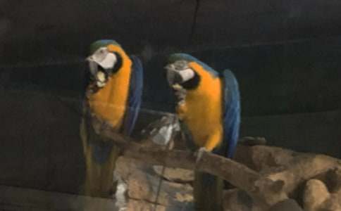 �W�^�~���ąR��8ƪ