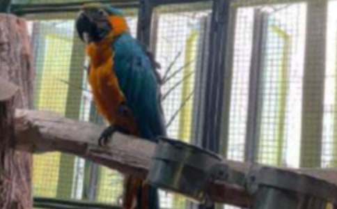 �Ҽҵ��W�^���꼉��������