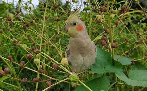 ��Ƥ�W�^400�����ģ����x36ƪ��