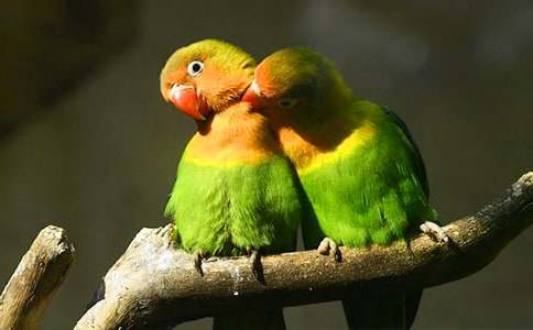 ���P(gu��n)�W�^�~����6ƪ