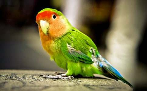 ���P(gu��n)�W�^�~����ʮƪ