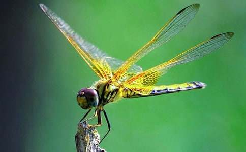 �^����������300��