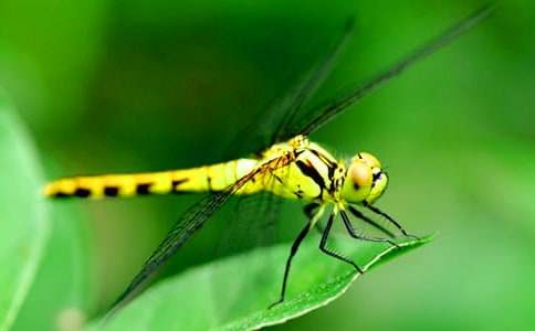 ���꼉�ԡ����w���ѡ��̰����x