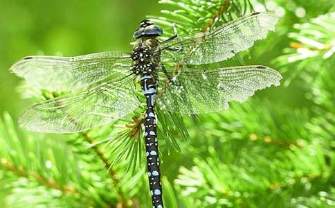 �����cˮ����P(gu��n)������