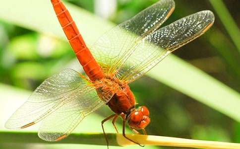 �^����������(6ƪ)