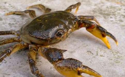 �^���з���ģ����x35ƪ��