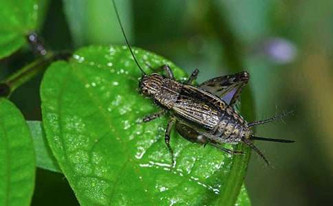 ��v�U(xi��n)ӛͯԒ����600��