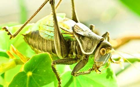 �����סլ���̰��̌W(xu��)�����x7ƪ��