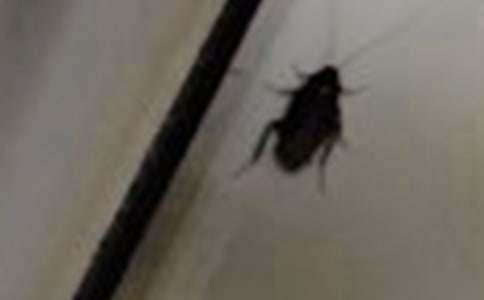 �������400�ְ�ƪ