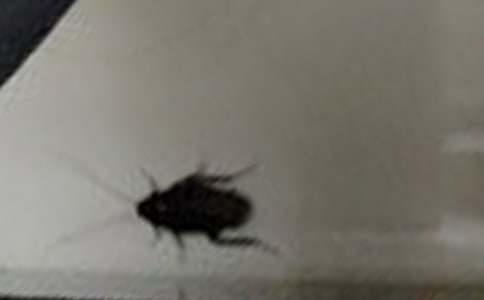 �������С�W����