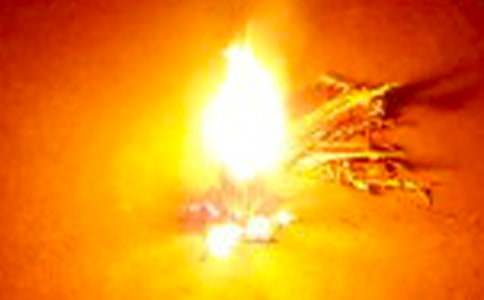 �y���������������2017