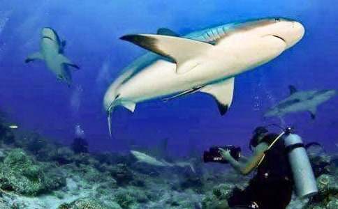 ���~(y��)С�W(xu��)����