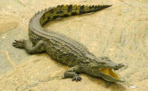 �P(gu��n)���{�~(y��)��С�W(xu��)������