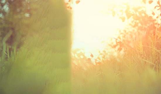 ���ε�Ψ����־���Z�26�l