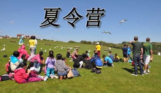 ����(gu��)����I(y��ng)����1400��