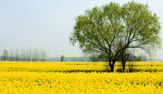 �V�|�m�ϴ��εĵط�2025